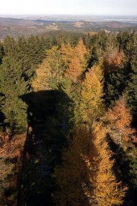 Stín rozhledny